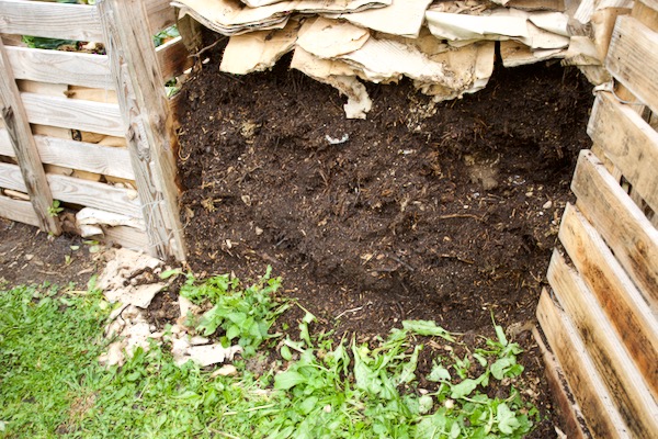 Fresh compost in a wooden allotment compost bay